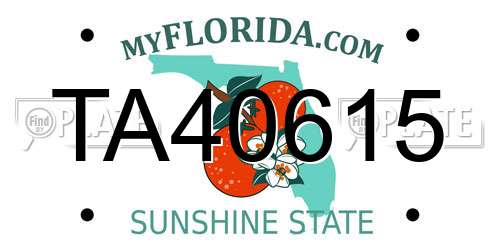 TA40615 Florida License Plate