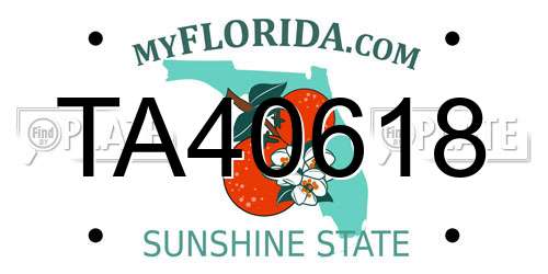 TA40618 Florida License Plate