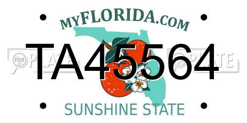 TA45564 Florida License Plate