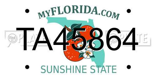 TA45864 Florida License Plate