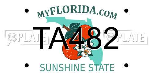 TA482 Florida License Plate