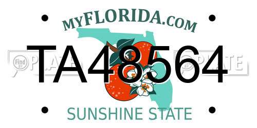 TA48564 Florida License Plate