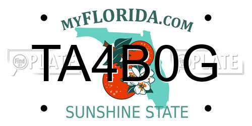 TA4B0G Florida License Plate