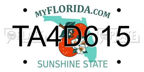 TA4D615 Florida License Plate