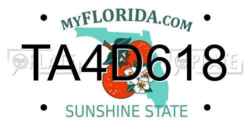TA4D618 Florida License Plate