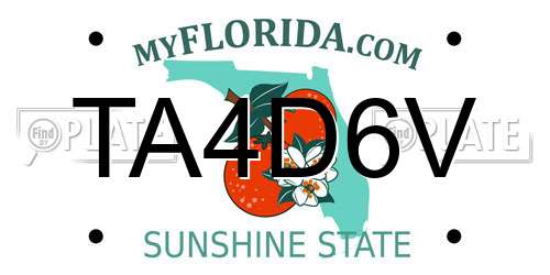 TA4D6V Florida License Plate