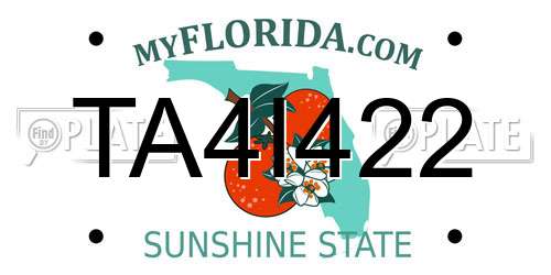 TA4I422 Florida License Plate