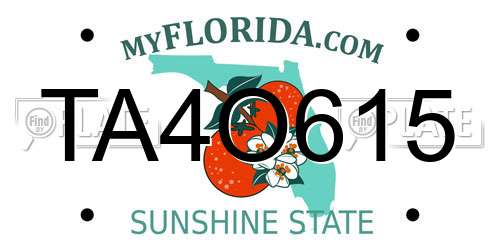 TA4O615 Florida License Plate