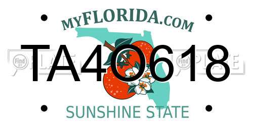 TA4O618 Florida License Plate