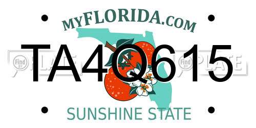 TA4Q615 Florida License Plate
