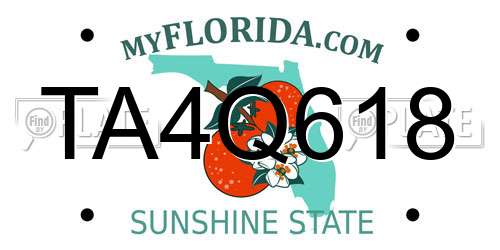 TA4Q618 Florida License Plate
