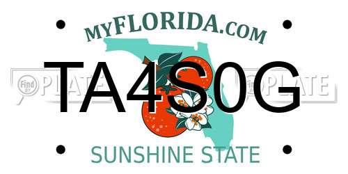 TA4S0G Florida License Plate