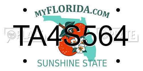 TA4S564 Florida License Plate
