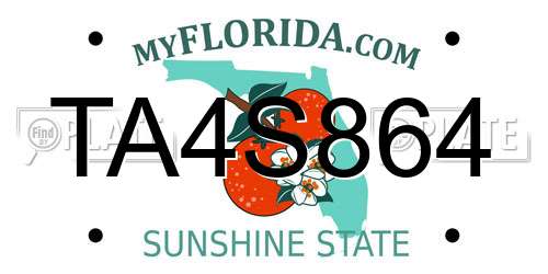TA4S864 Florida License Plate