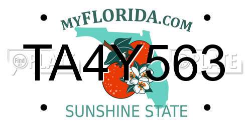 TA4Y563 Florida License Plate
