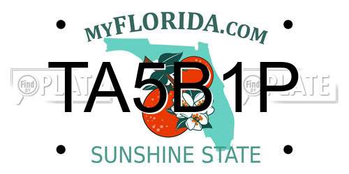 TA5B1P Florida License Plate