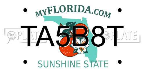 TA5B8T Florida License Plate