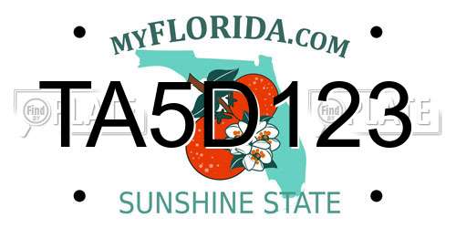 TA5D123 Florida License Plate