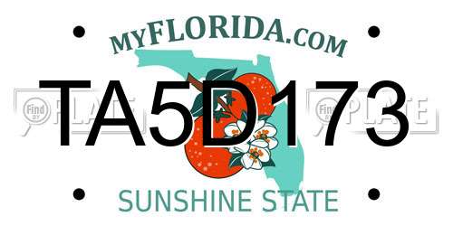 TA5D173 Florida License Plate