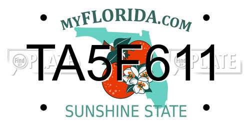 TA5F611 Florida License Plate