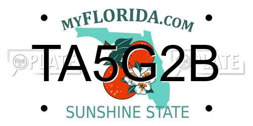 TA5G2B Florida License Plate