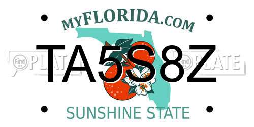 TA5S8Z Florida License Plate