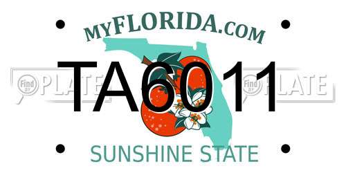 TA6011 Florida License Plate