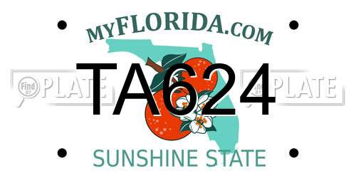 TA624 Florida License Plate