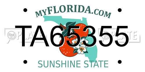 TA65355 Florida License Plate