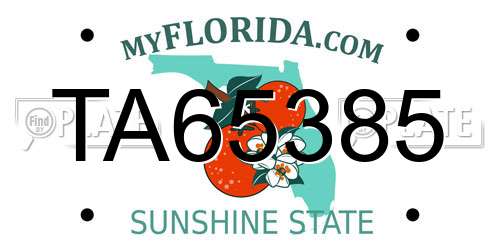 TA65385 Florida License Plate