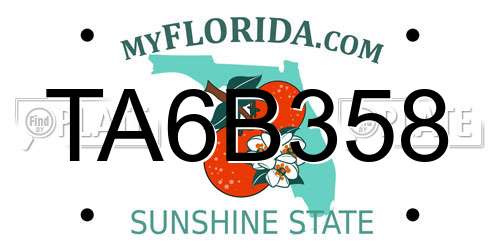 TA6B358 Florida License Plate