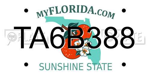TA6B388 Florida License Plate
