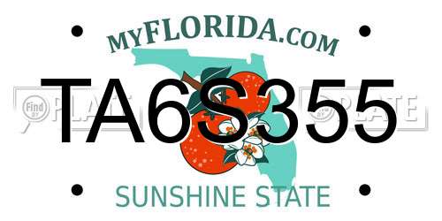 TA6S355 Florida License Plate