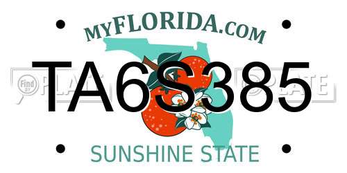 TA6S385 Florida License Plate