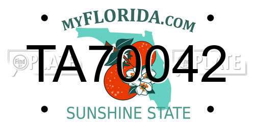 TA70042 Florida License Plate