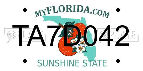 TA7D042 Florida License Plate