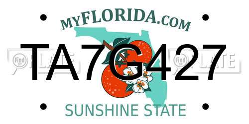TA7G427 Florida License Plate