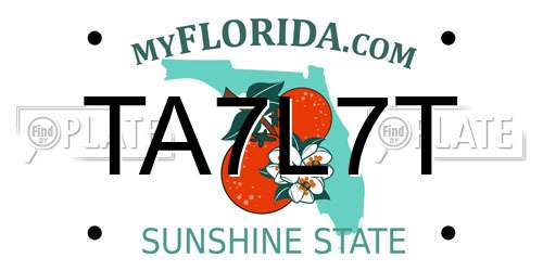 TA7L7T Florida License Plate