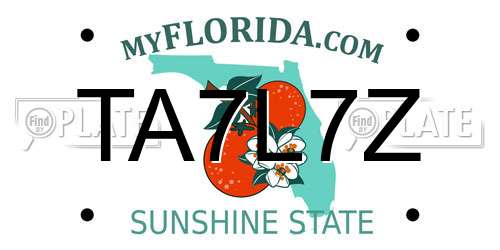 TA7L7Z Florida License Plate
