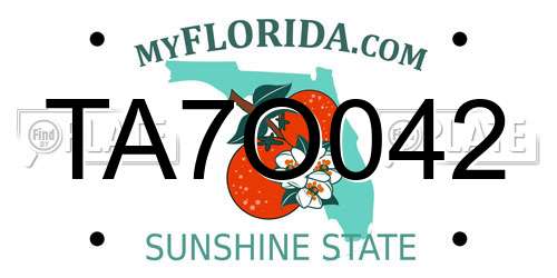 TA7O042 Florida License Plate