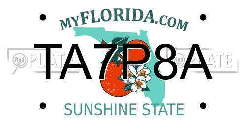 TA7P8A Florida License Plate