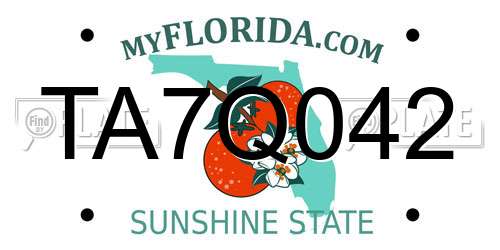 TA7Q042 Florida License Plate