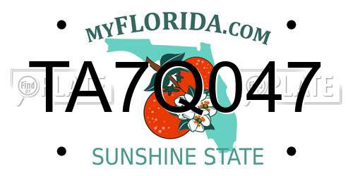 TA7Q047 Florida License Plate