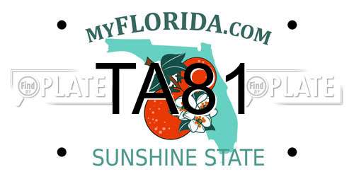 TA81 Florida License Plate