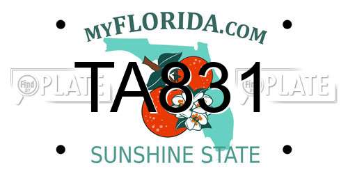 TA831 Florida License Plate