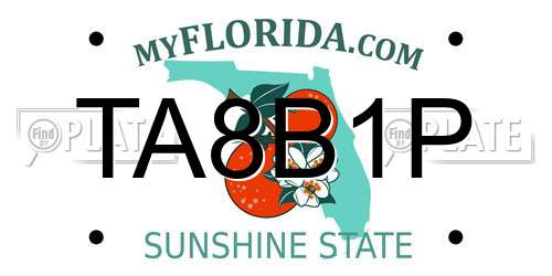TA8B1P Florida License Plate