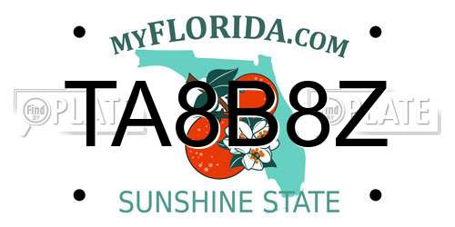 TA8B8Z Florida License Plate