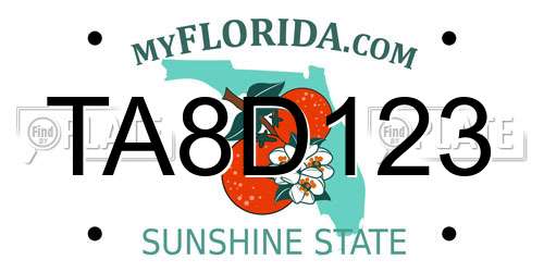 TA8D123 Florida License Plate