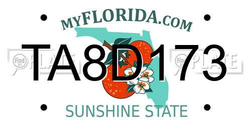 TA8D173 Florida License Plate