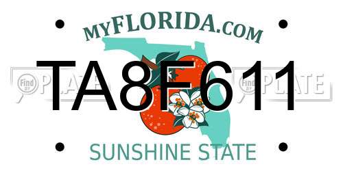 TA8F611 Florida License Plate